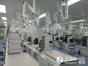 山東羅欣制藥 以創(chuàng)新為翼，打破國外壟斷，引領(lǐng)醫(yī)藥研發(fā)與國際水平同步前行